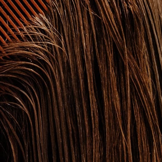 The Blowout Club at Color By Chels in Goldsboro, NC